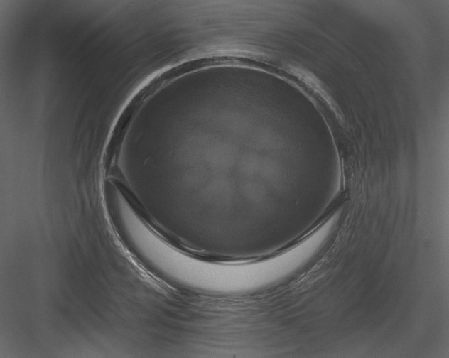 X0000083981024200702232039