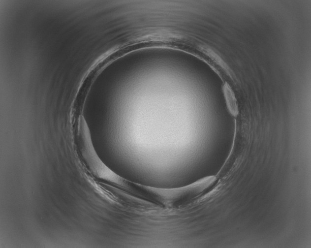 X0000083981026200702232039