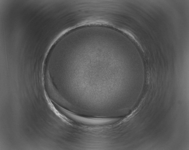 X0000083981038200702232039