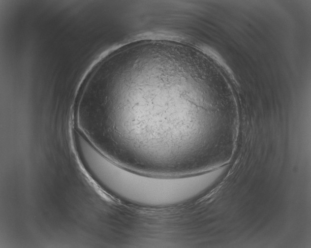 X0000083981040200702232039