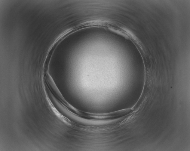 X0000083981042200702232039