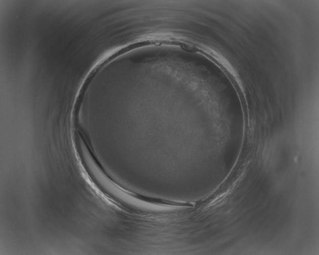 X0000083981045200702232039