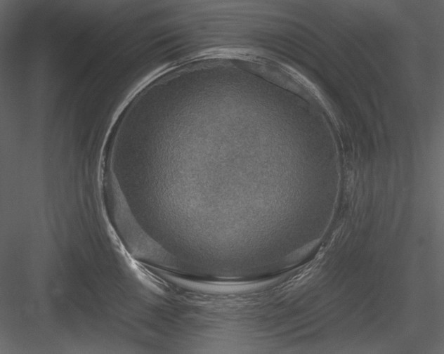 X0000083981050200702232039