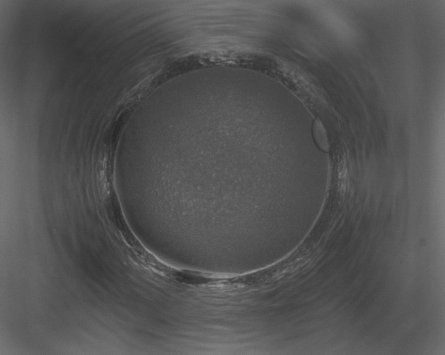 X0000083981060200702232038