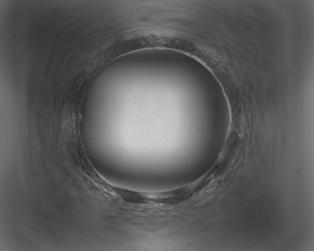 X0000083981061200702232038