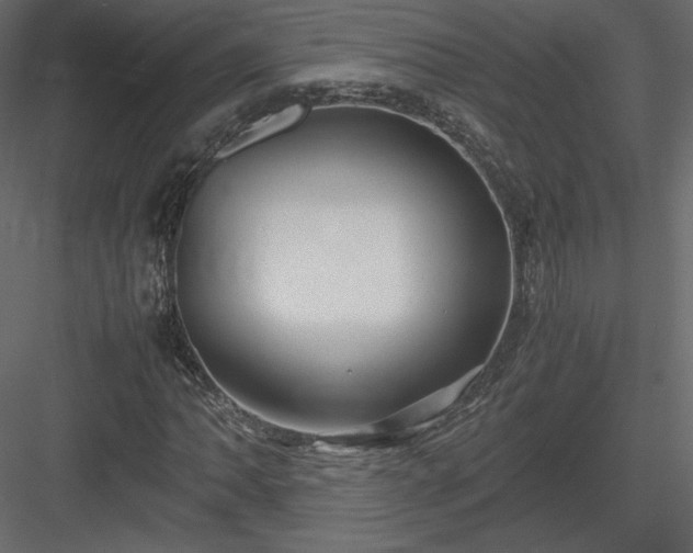 X0000083981062200702232038