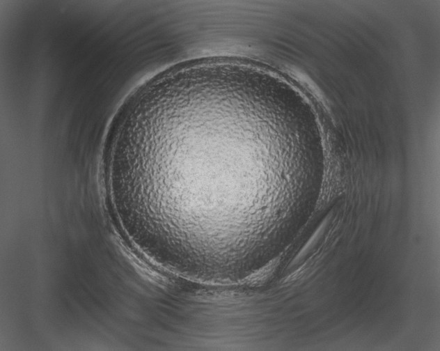 X0000083981072200702232038
