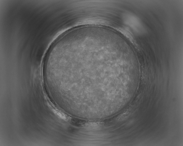X0000083981078200702232038