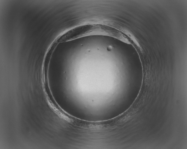 X0000083981080200702232038