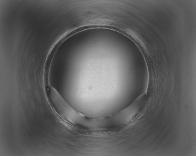 X0000083981085200702232038