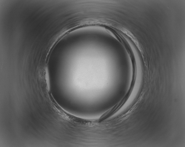 X0000083981089200702232038