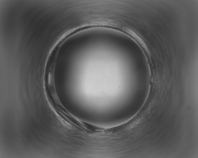 X0000083981093200702232038
