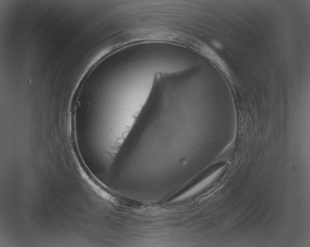 X0000083981095200702232038