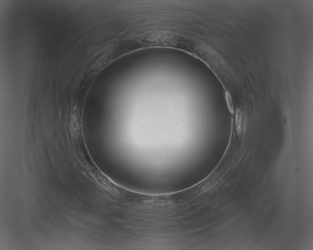 X0000083981107200702232037