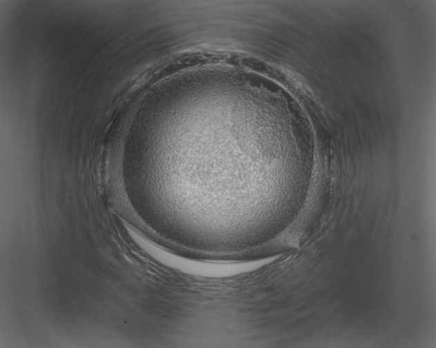 X0000083981110200702232037