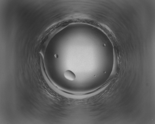 X0000083981112200702232037