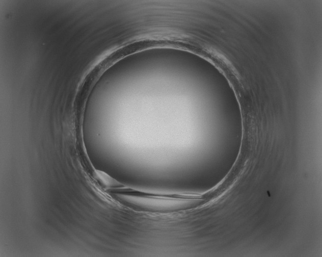 X0000083981114200702232037