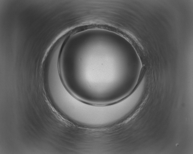 X0000083981118200702232037