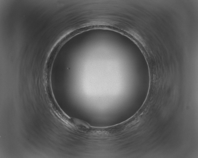 X0000083981119200702232037