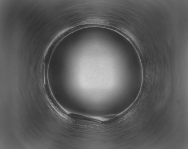 X0000083981123200702232037
