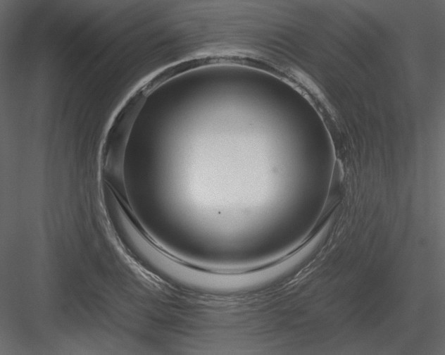 X0000083981124200702232037
