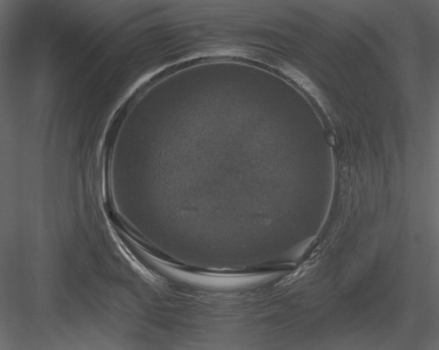 X0000083981127200702232037