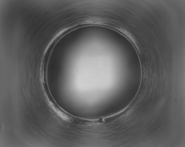 X0000083981131200702232037