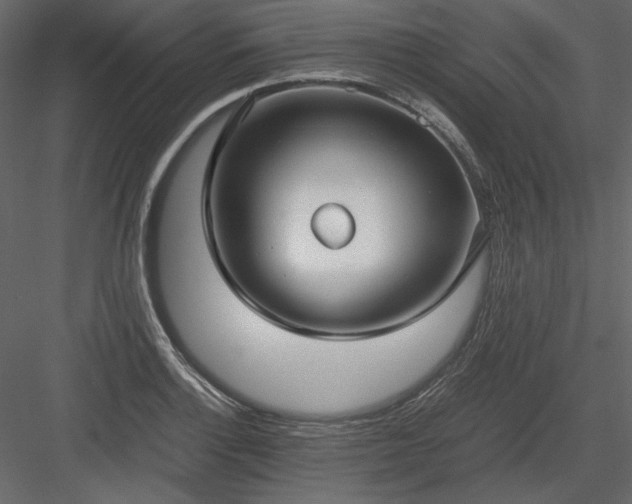 X0000083981132200702232037
