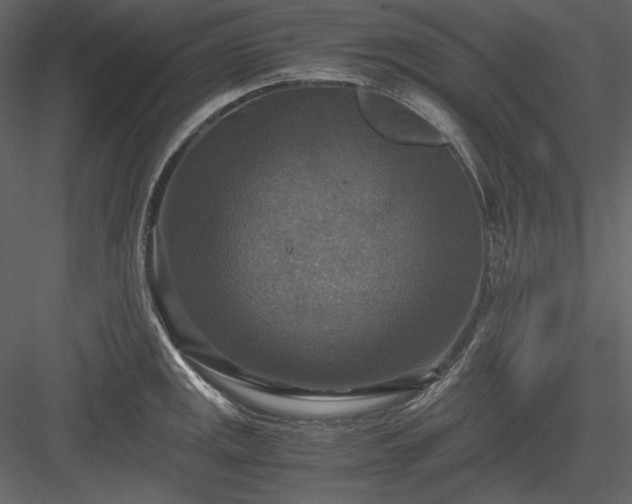 X0000083981141200702232037
