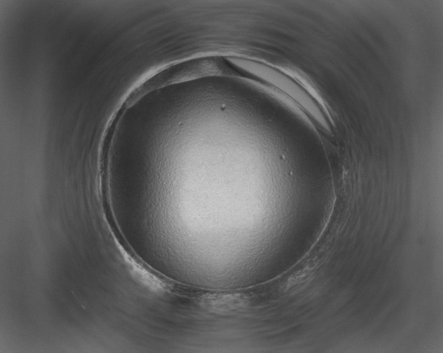 X0000083981143200702232038