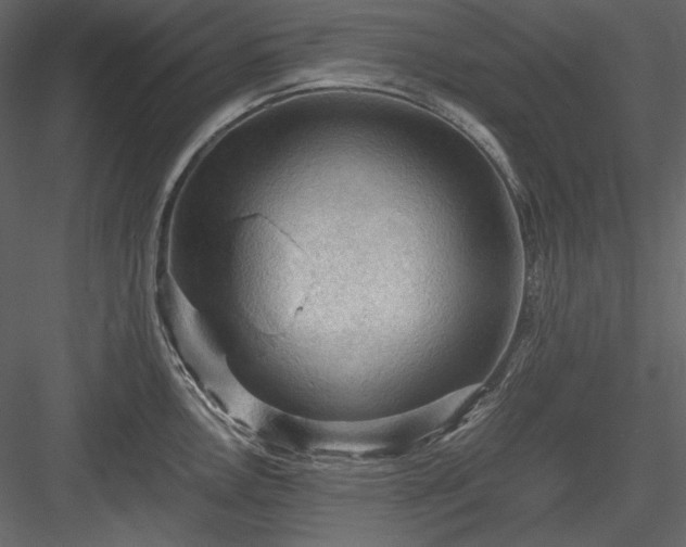 X0000083981146200702232038