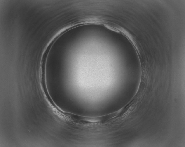 X0000083981147200702232038