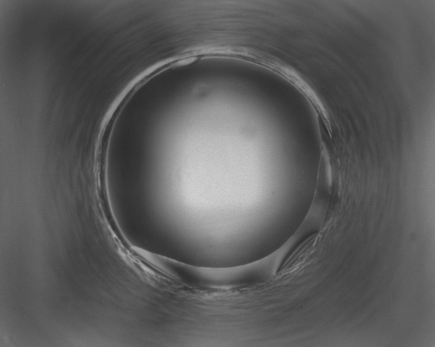 X0000083981148200702232038