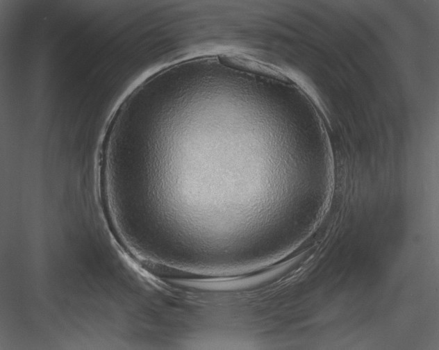 X0000083981151200702232038