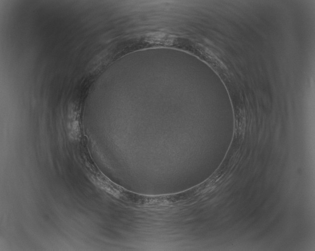 X0000083981154200702232037