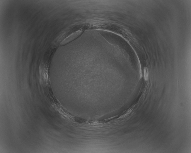 X0000083981155200702232037