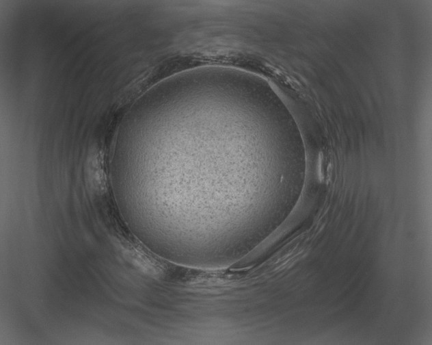 X0000083981156200702232037