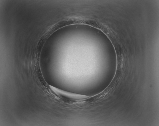 X0000083981157200702232037