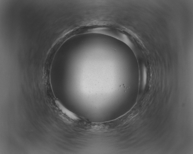 X0000083981160200702232037