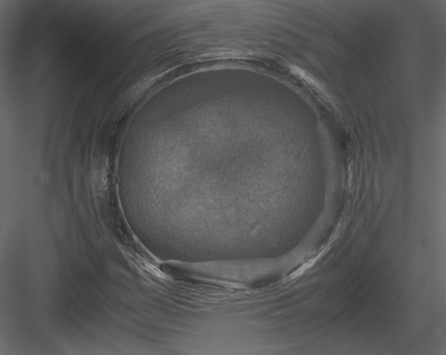 X0000083981161200702232037