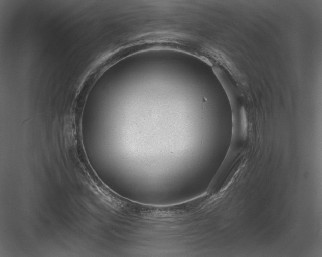 X0000083981164200702232037