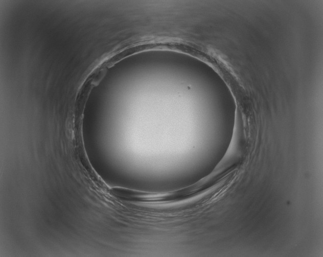 X0000083981165200702232037