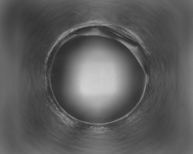 X0000083981168200702232037