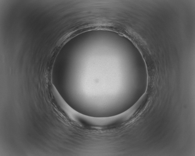 X0000083981169200702232037