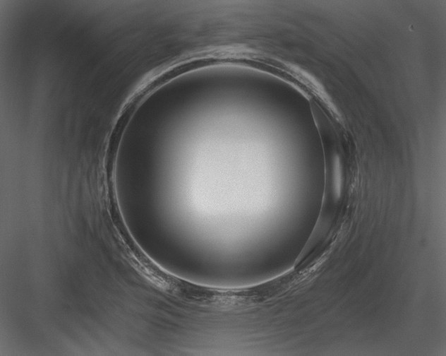 X0000083981176200702232036