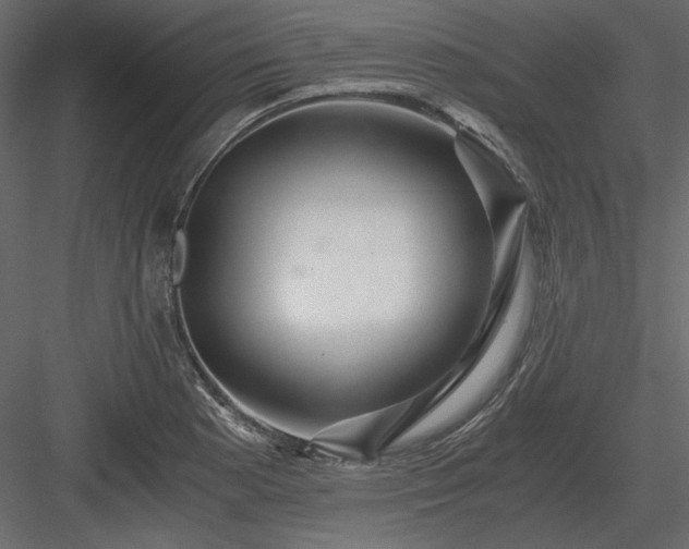 X0000083981177200702232036