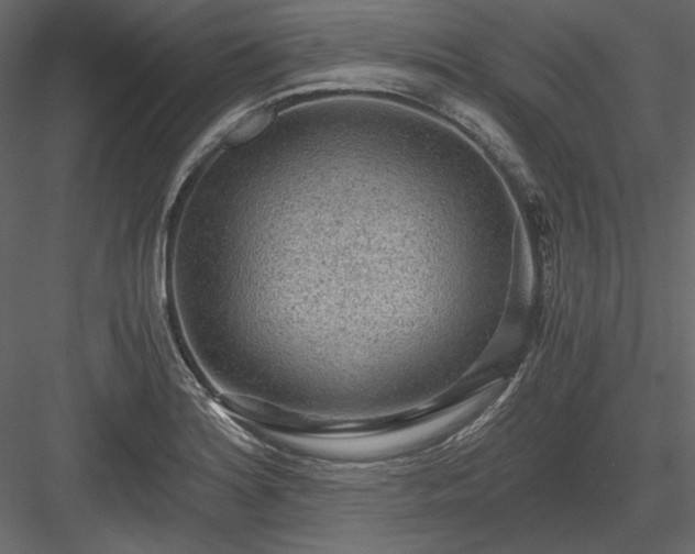 X0000083981180200702232036