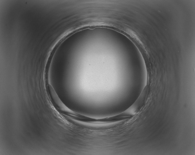 X0000083981181200702232036