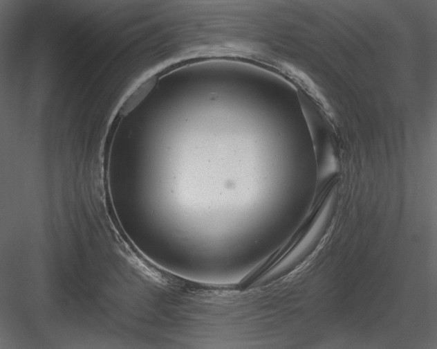 X0000083981184200702232036