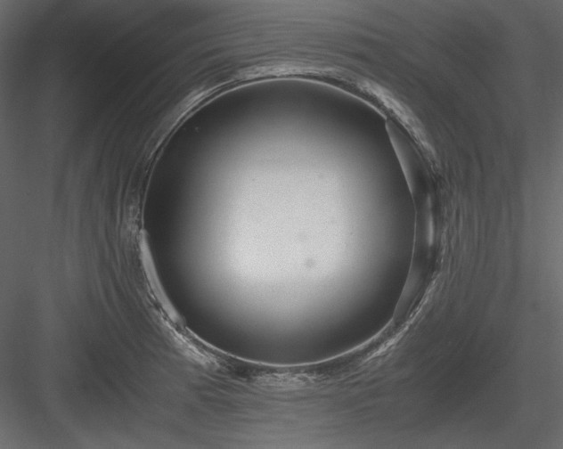 X0000083981185200702232036